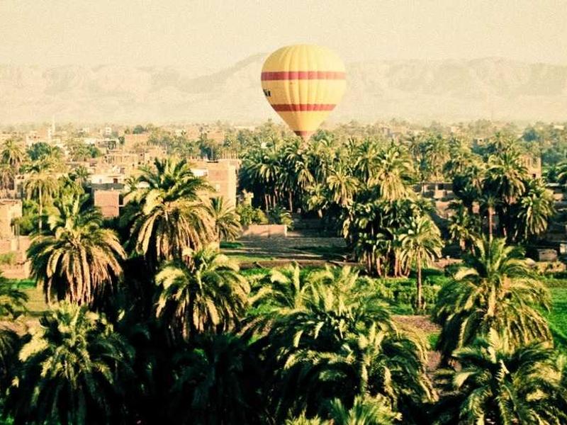 sudoku nature theme screenshot 1