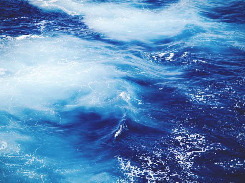 sudoku nature theme screenshot 6