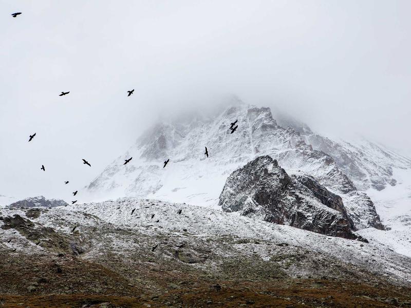 sudoku nature theme screenshot 2